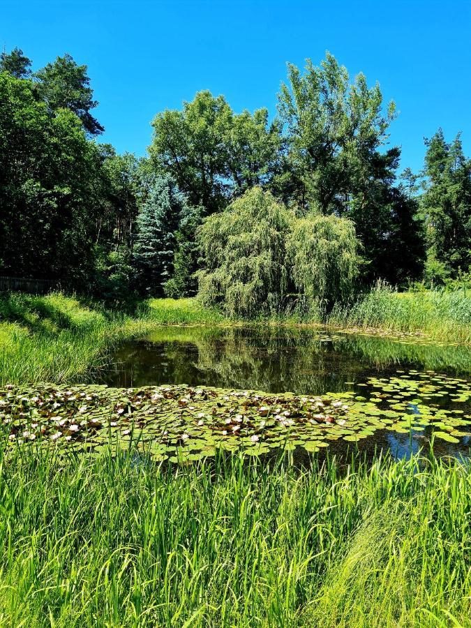 Vila Wrzosowe Siedlisko Czosnów Exteriér fotografie